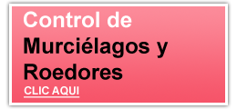 Control de Murci�lagos y Roedores - CLIC AQUI