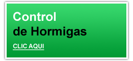 Control de Hormigas - CLIC AQUI