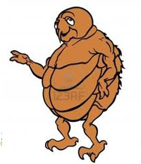 Remedios caseros para eliminar pulgas