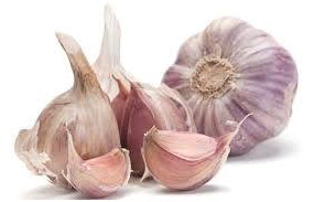 Remedio casero con ajo contra hormigas y hongos