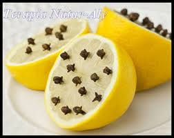 Repelente casero para las abejas y las avispa